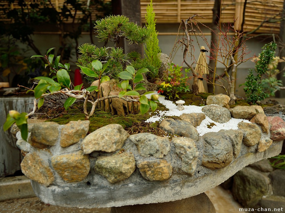Miniature Gardens